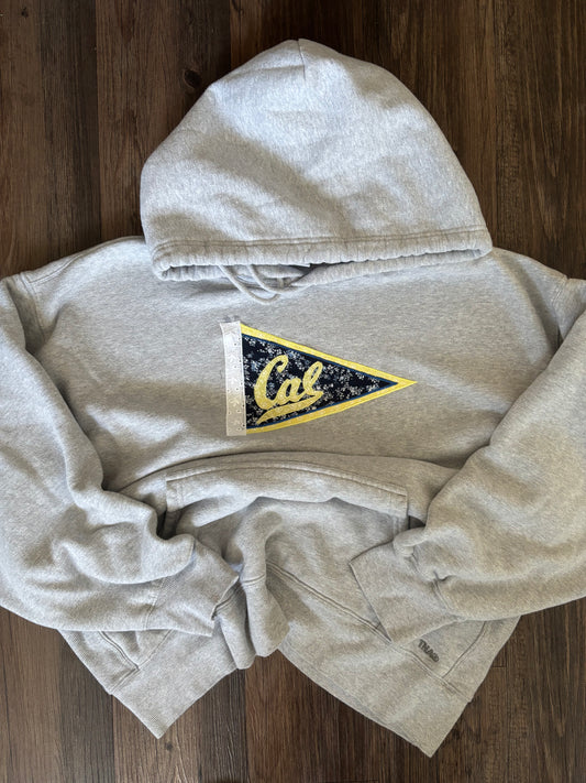 Berkeley x Aritzia TNA Sweatfleece Boyfriend Fit